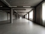 photo_low257556