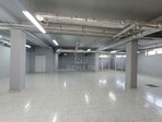 photo_low257562