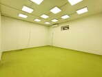 photo_low258323