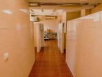 photo_low258761