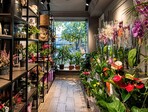 photo_low259072