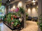 photo_low259073
