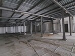 photo_low259213