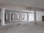 photo_low259216
