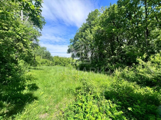 photo228122