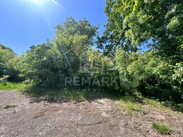 photo228123