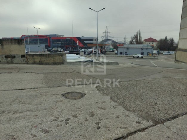 photo233461