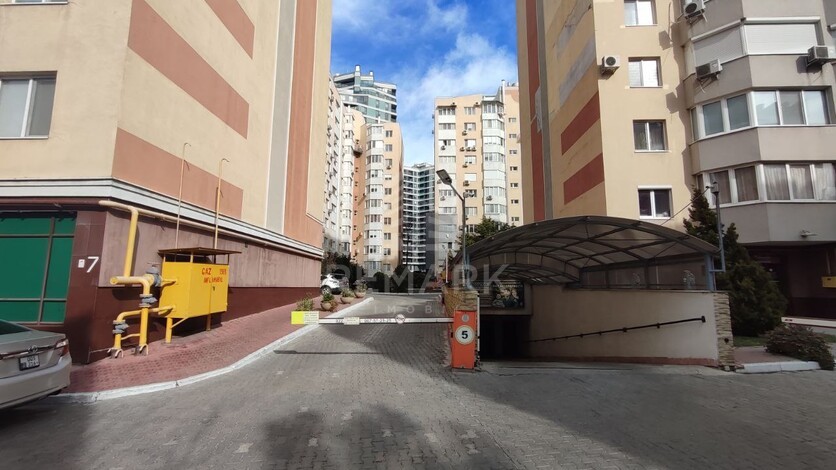 photo254367