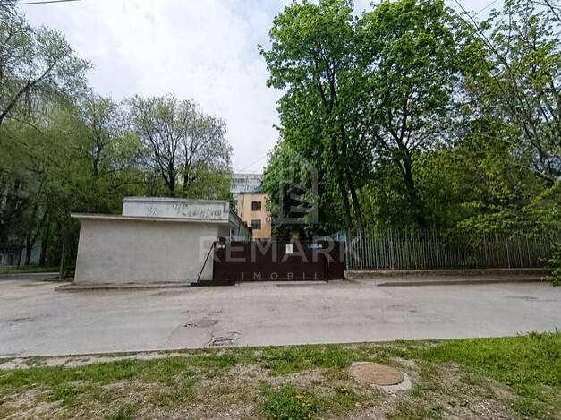 photo254497