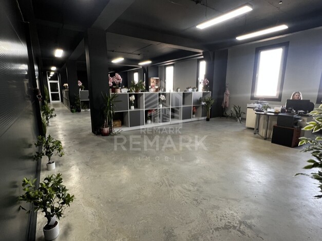 photo254553