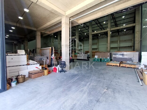 photo254557