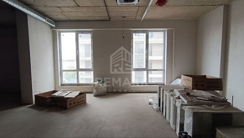photo254603