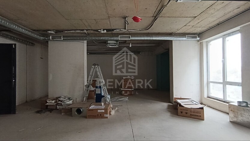 photo254664
