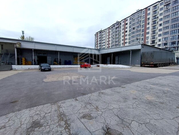 photo254698