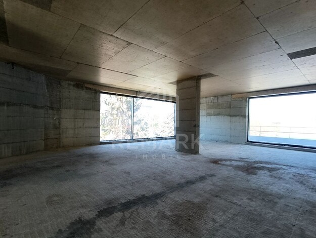 photo254724