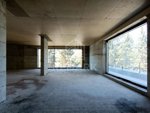 photo254725