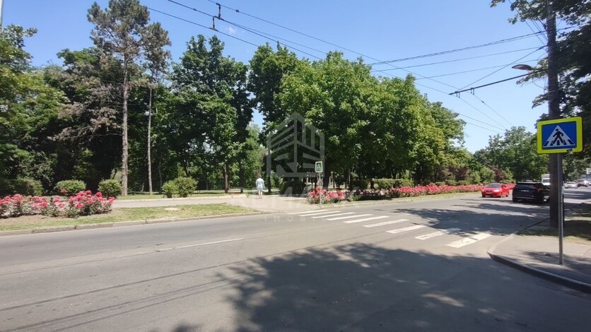 photo255323