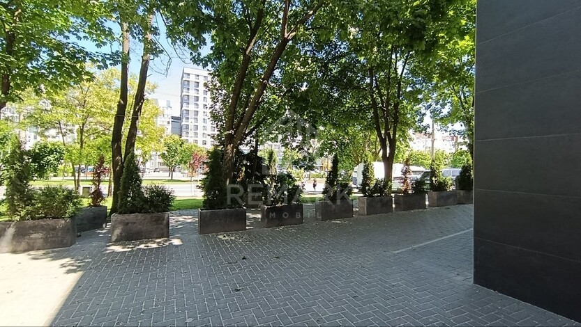 photo255409