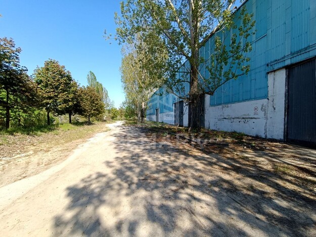 photo255539