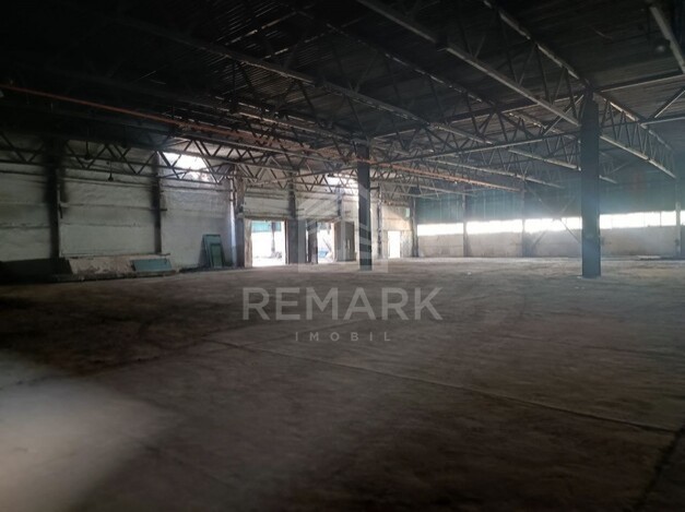 photo255548