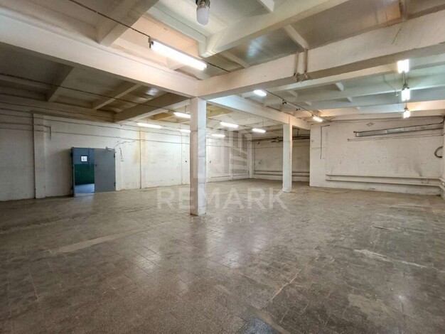photo255629
