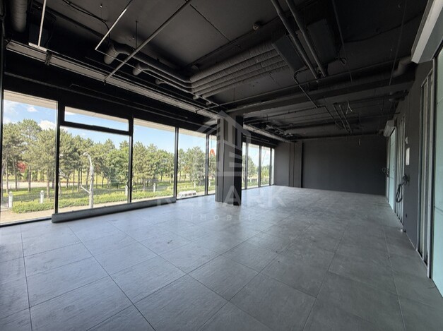 photo255832