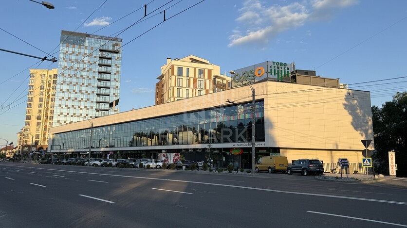 photo255846