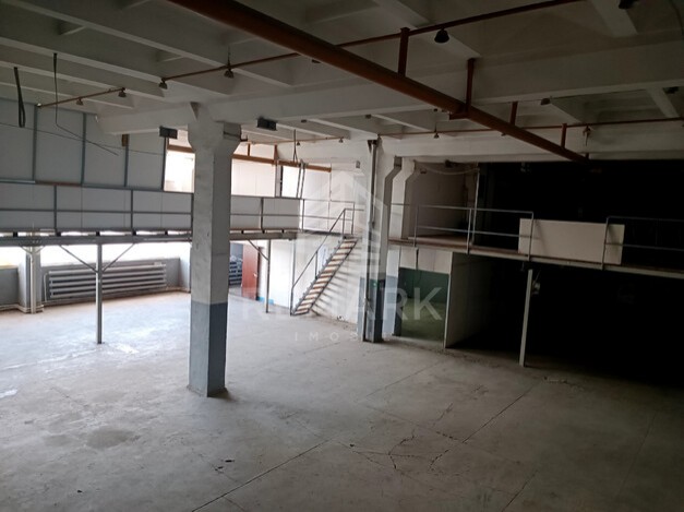 photo255981
