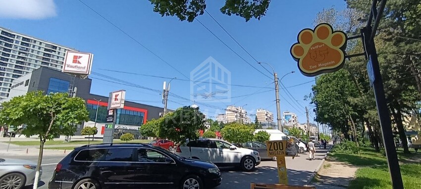 photo256050