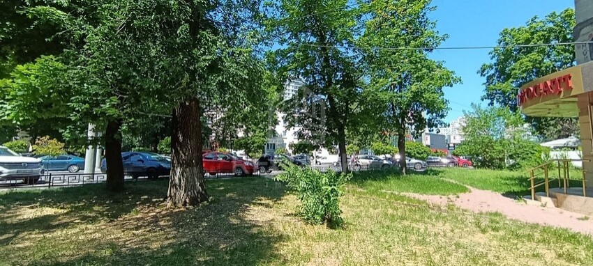 photo256054