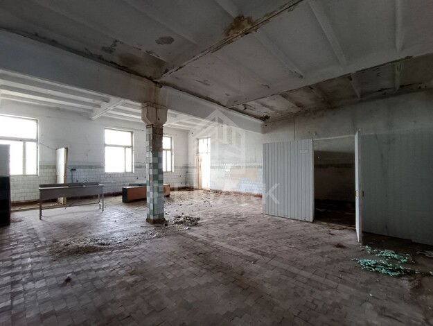 photo256200
