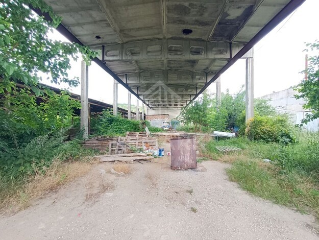 photo256211