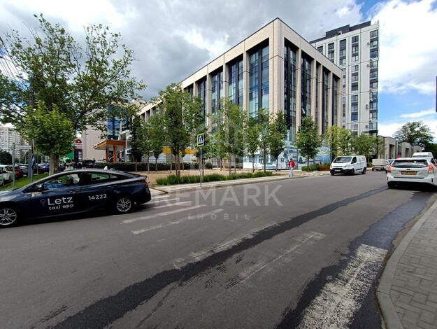 photo256231