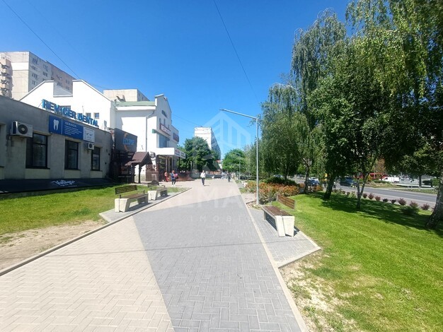photo256536
