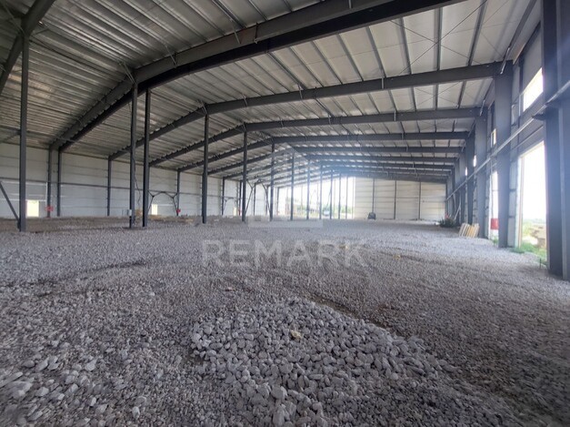 photo256979