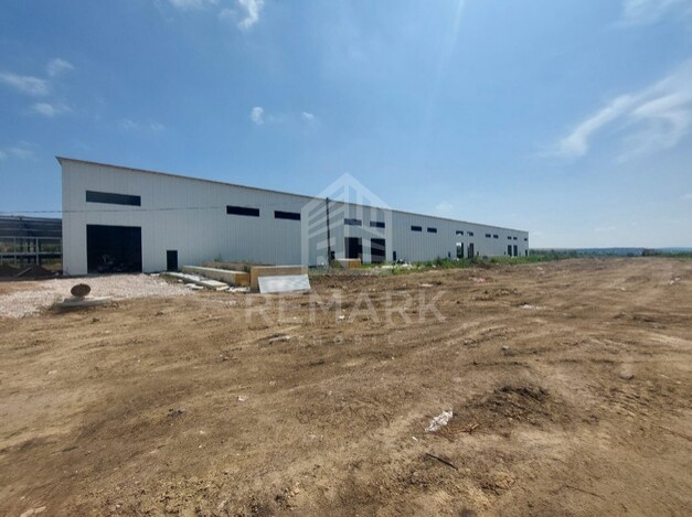 photo256980