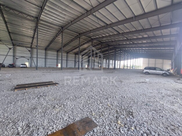 photo256976