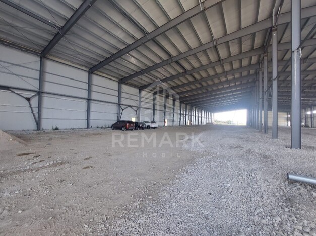 photo256978
