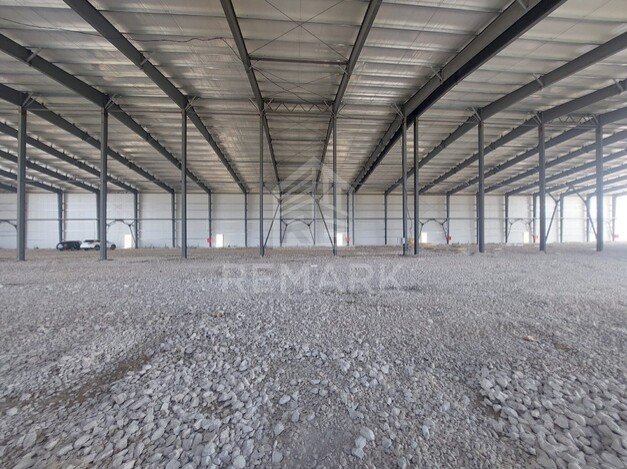 photo256982
