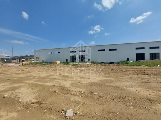 photo256991