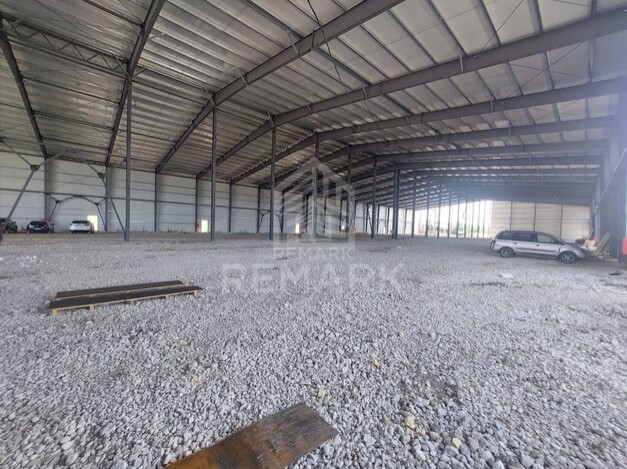 photo256988
