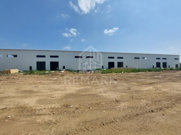 photo256990