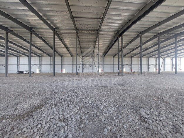photo256992