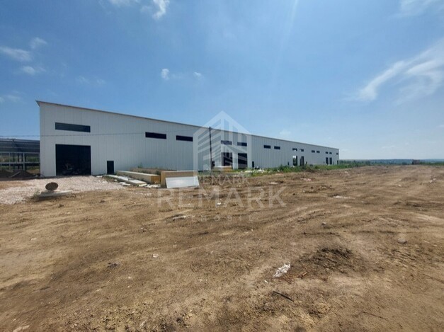 photo256994