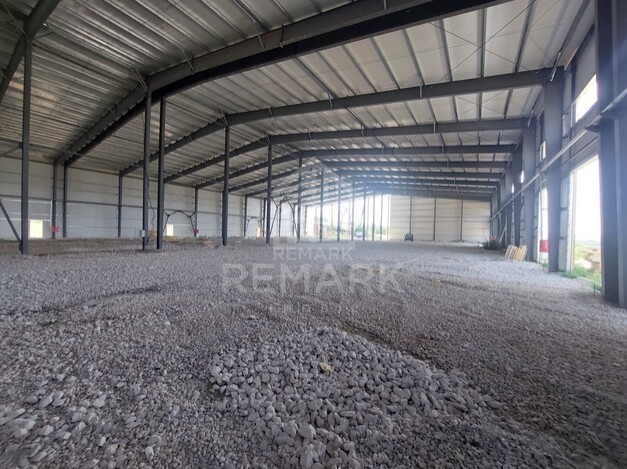 photo256993
