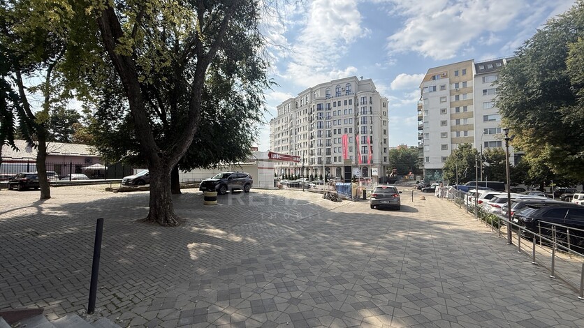 photo257362