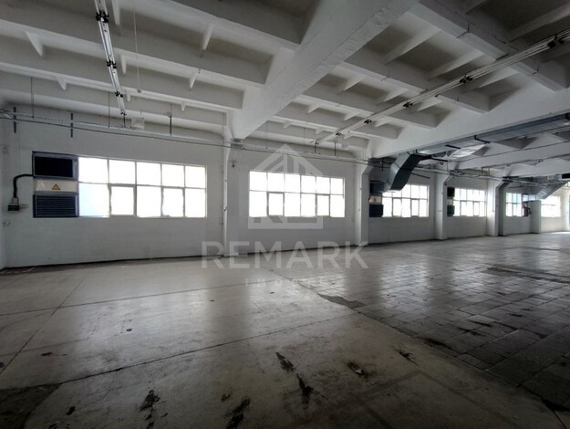 photo257412