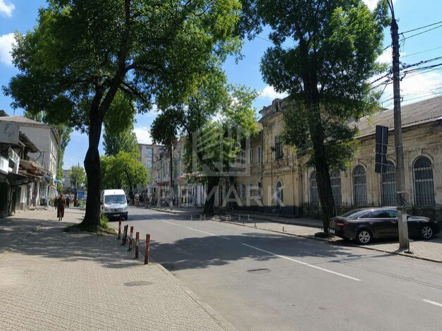 photo257489