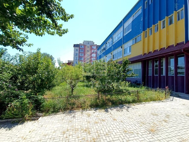 photo257499