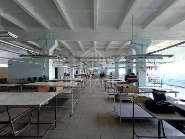 photo257501